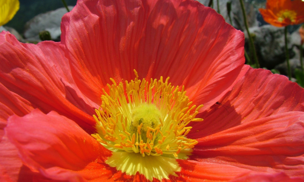 TOUTE FORME DE GARDIENNAGE 0 32000 Auch