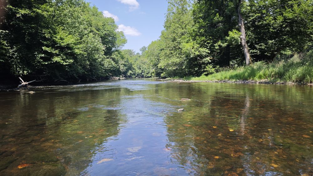 Sourcier 0 23000 Saint-fiel