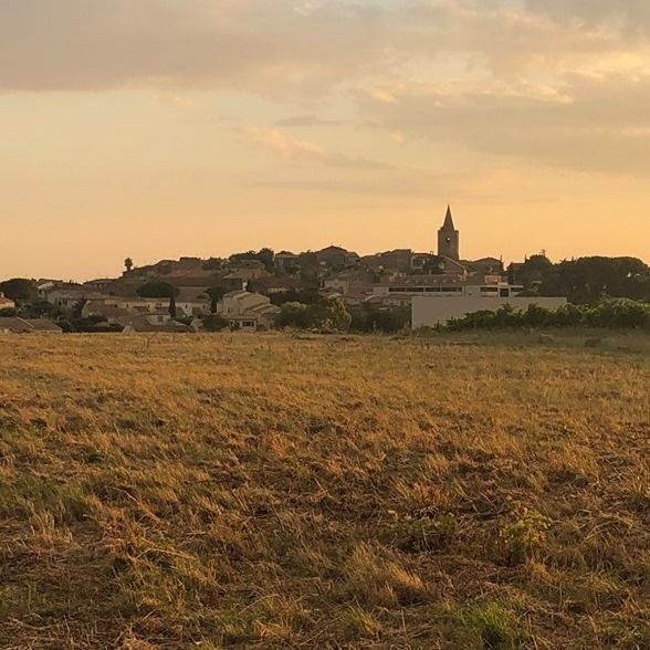 retrait&eacute; 60 ans cherche &eacute;tudiante ou dame de compagnie 0 34230 Saint-pargoire