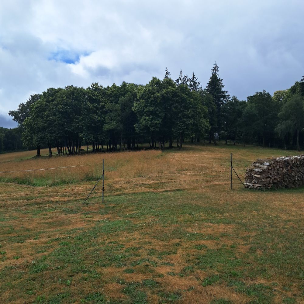 Pension chevaux 0 56310 Guern