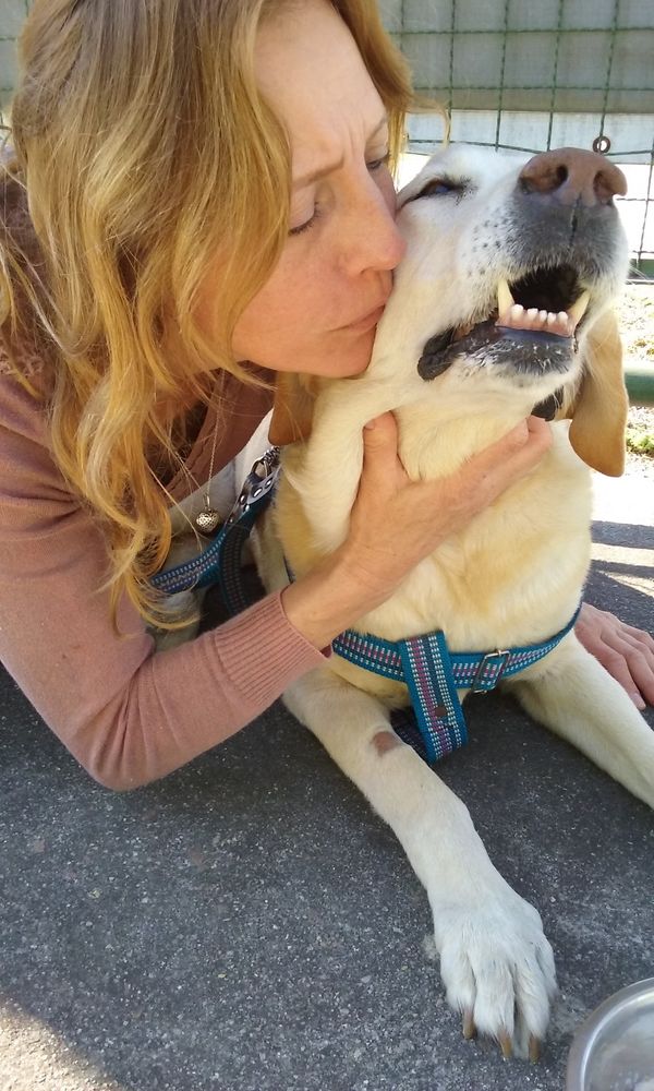 Pet sitting 0 54410 Laneuveville-devant-nancy