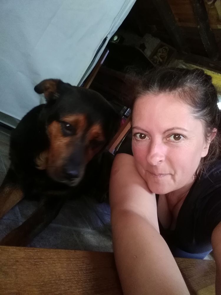 Nettoyage chez les particuliers 0 33700 M�rignac