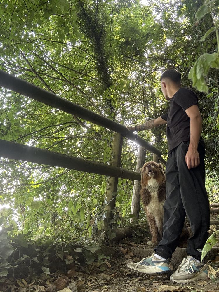 &Eacute;ducation canine 0 49100 Angers