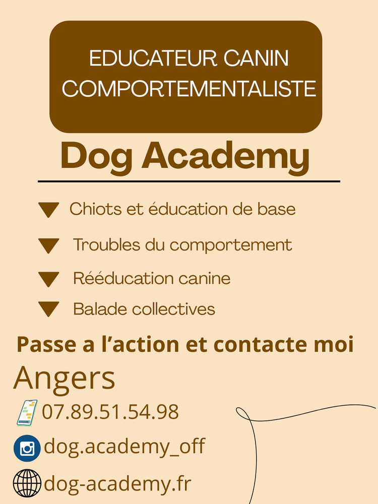 &Eacute;ducation canine 0 49100 Angers