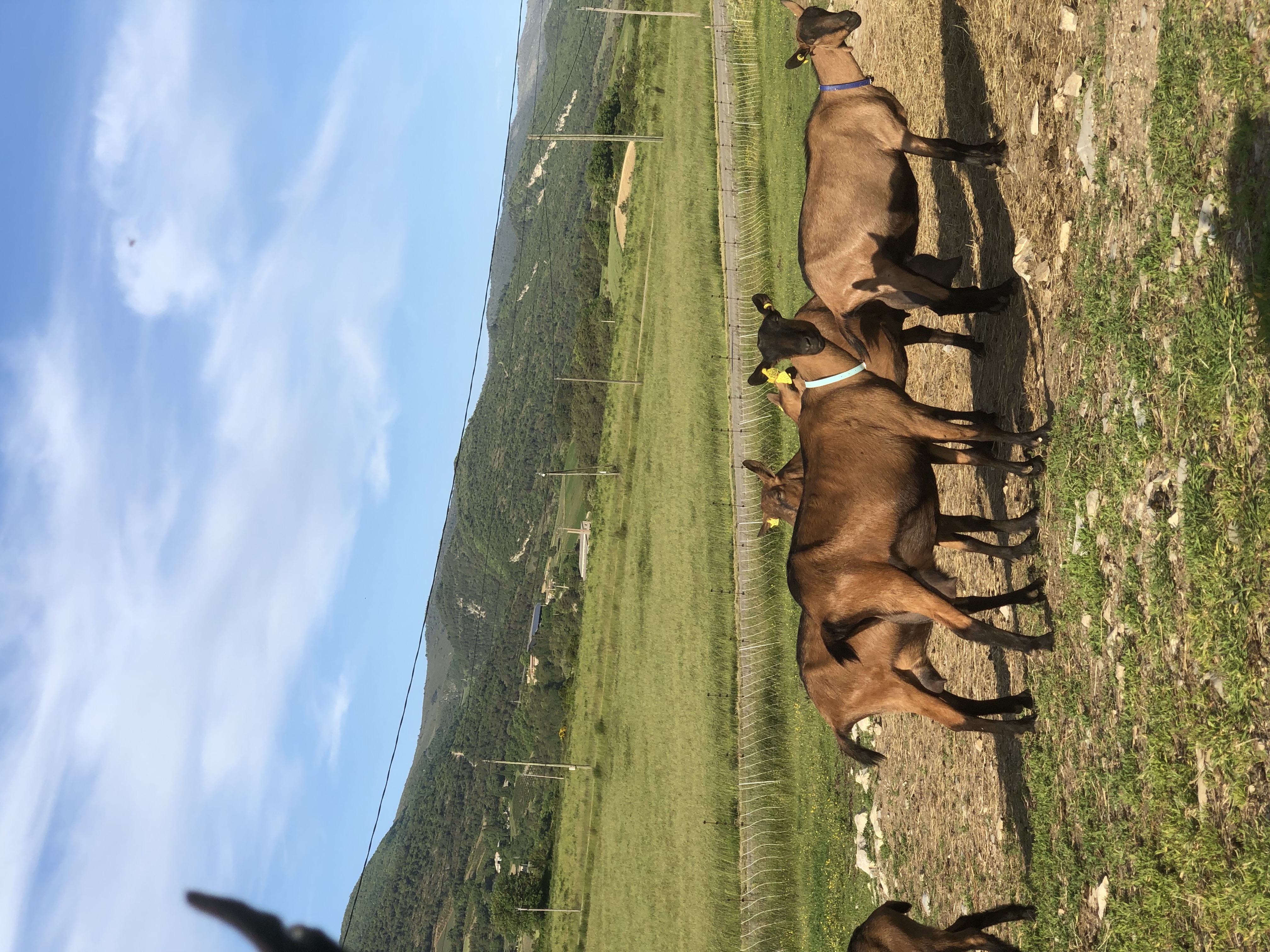 Logement contre services 0 26170 Saint-auban-sur-l'ouv�ze