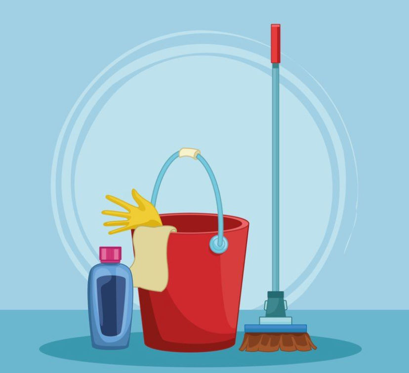 FEMME DE MENAGE EXPERIMENTEE (20 ans de m&eacute;tier) 0 31100 Toulouse