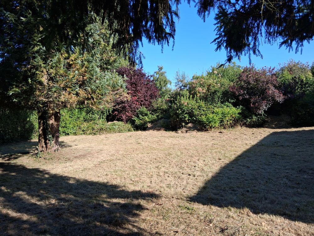 Espace vert 0 55700 Luzy-saint-martin