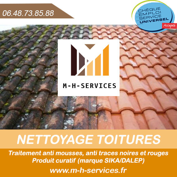 Traitement et nettoyage de toitures. 0 33380 Biganos