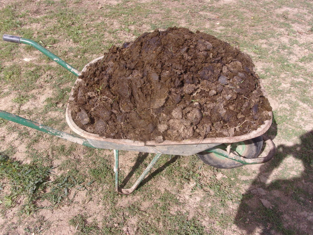 Crottin pur de cheval 0 14210 Grainville-sur-odon