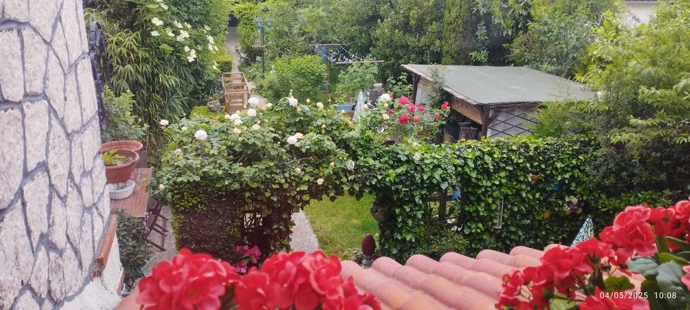 garde de petit chien 0 17300 Rochefort