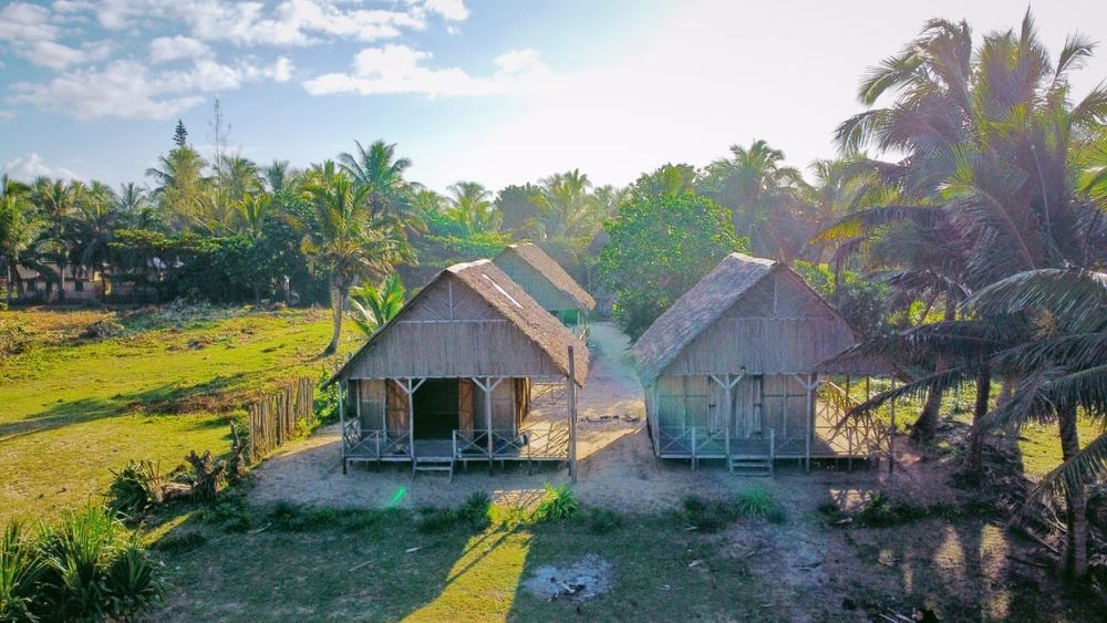 Recherche de g&eacute;rant pour domaine &agrave; MANAKARA 0 34000 Montpellier