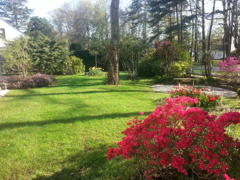 Jardinier dipl&ocirc;m&eacute;. 0 44850 Saint-mars-du-d�sert