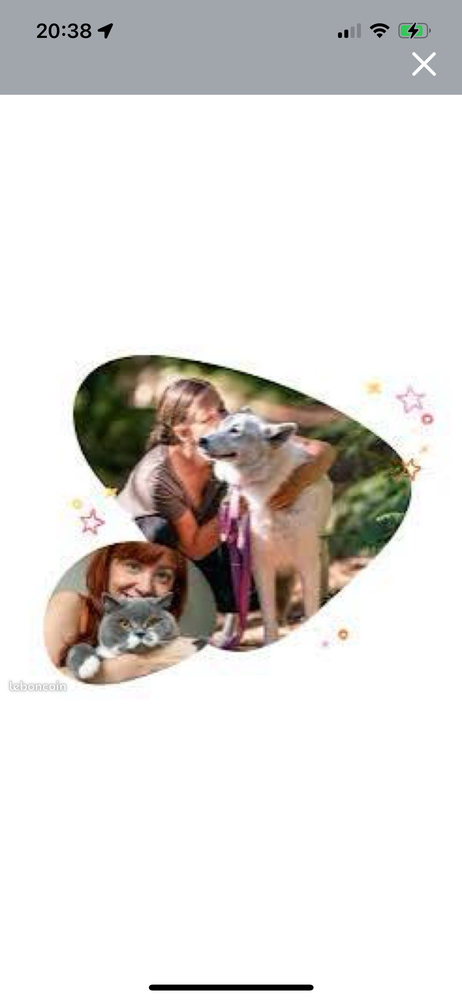 Garde d'animaux 0 13015 Marseille