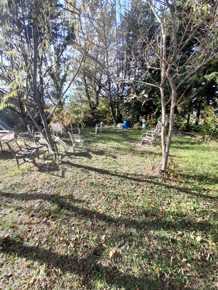 JARDINIER PAYSAGER 25 ANS D EXPERIENCES  PROPOSE SES SERVICE 0  (83136)