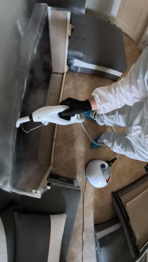 Intervention D&eacute;sinsectisations/D&eacute;sinfections 0 69600 Oullins