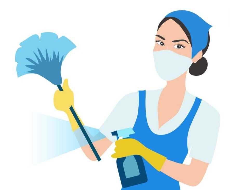 Femme de m&eacute;nage 0 74000 Annecy