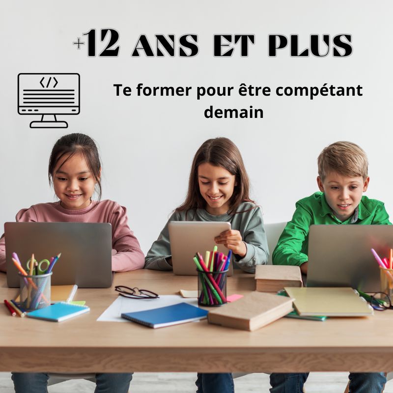 Cours d'informatique &agrave; domicile / &agrave; distance 0 95500 Gonesse
