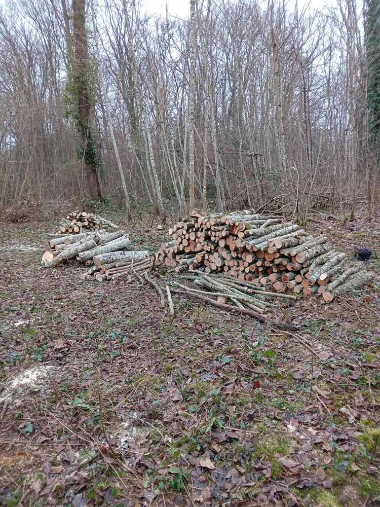 Multi services 0 41160 Fr�teval