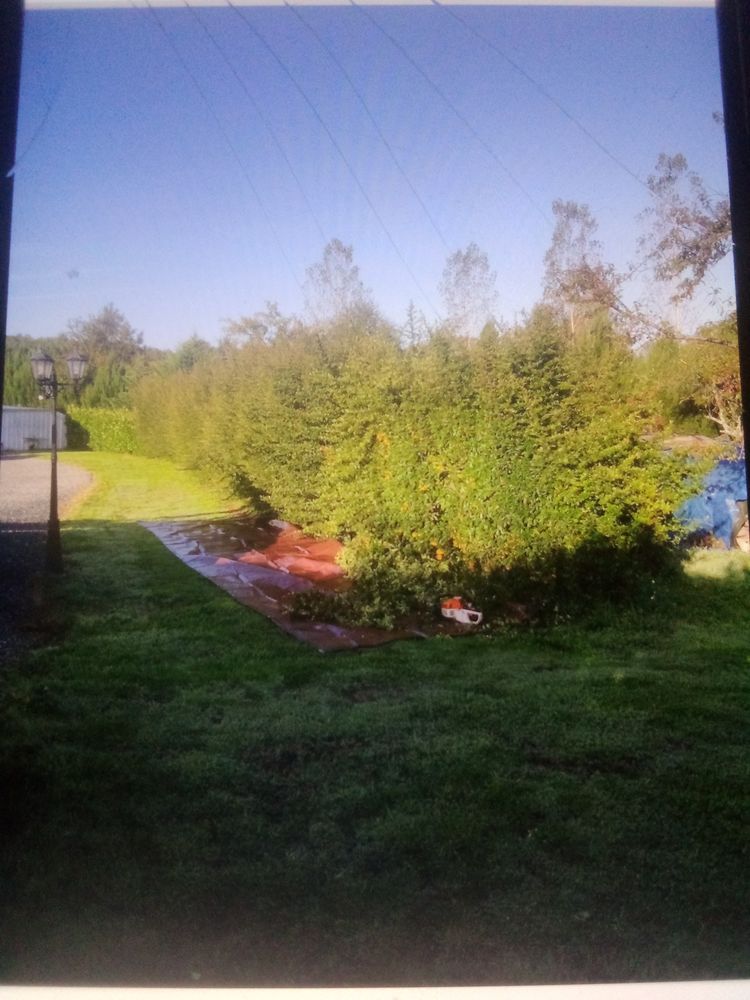 Espace vert 0 36000 Ch�teauroux