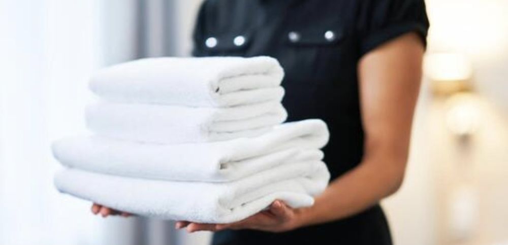 Possibilit&eacute; de prestations de m&eacute;nage ou repassage 0 33800 Bordeaux