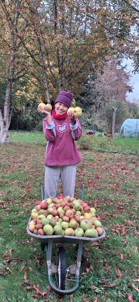 Aide &agrave; domicile et repassage 0 92310 S�vres