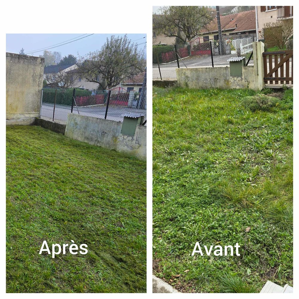 Jardinage 0 54000 Nancy