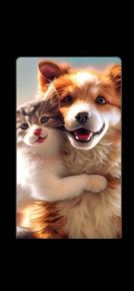 Pet-Sitter pro  chiens et chats  chez les particuliers 0 24590 Salignac-eyvigues