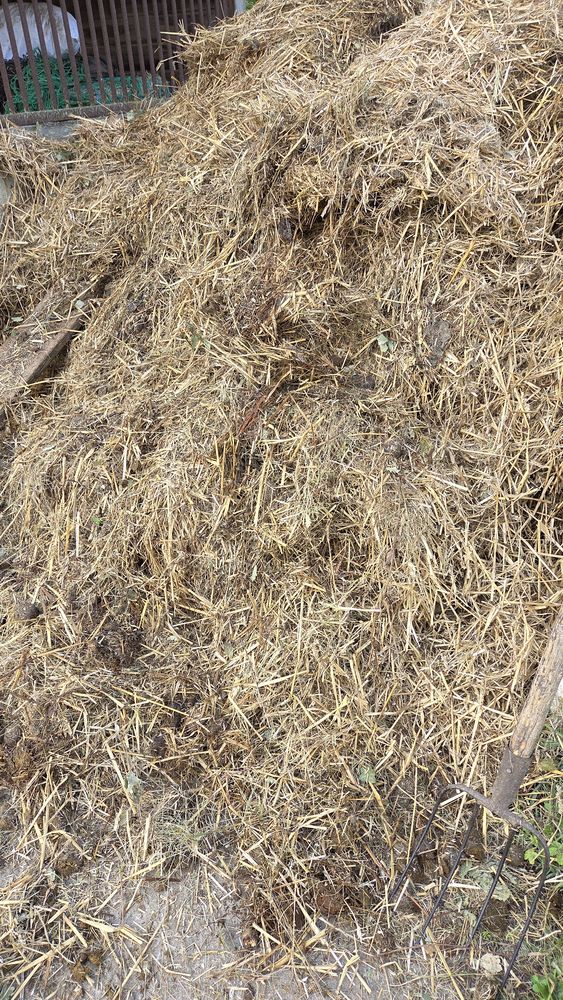 Fumier de cheval 0 17150 Mirambeau