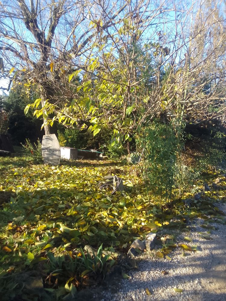 Cours particuliers contre jardinage 0 83136 Sainte-anastasie-sur-issole