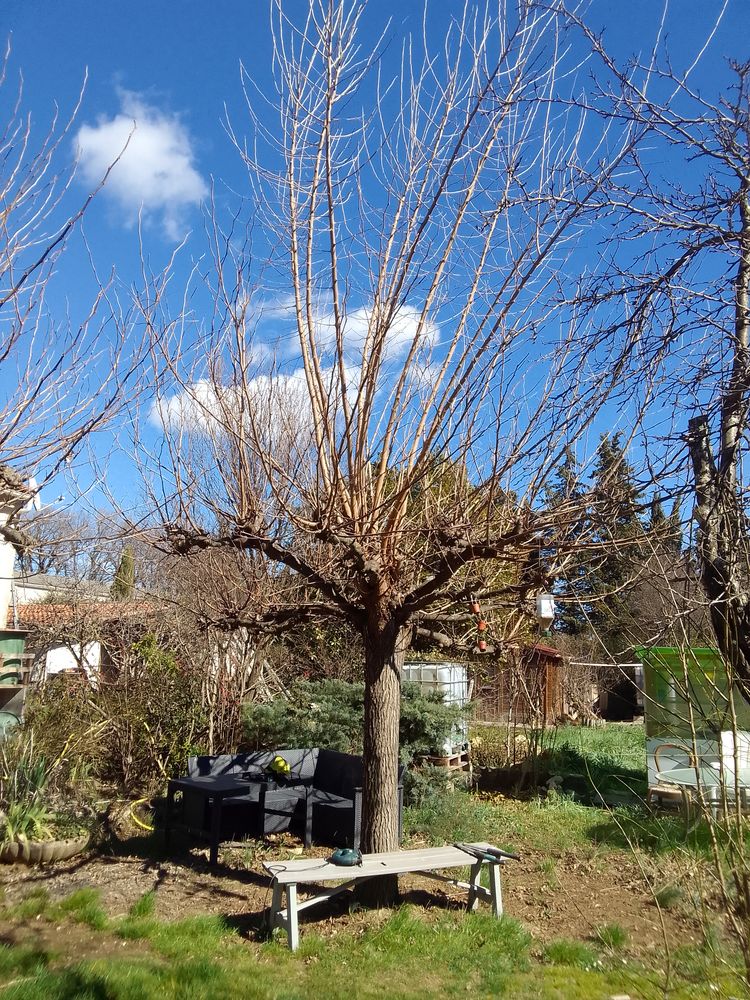 Prof offre cours particuliers contre jardinage 0 83136 Sainte-anastasie-sur-issole