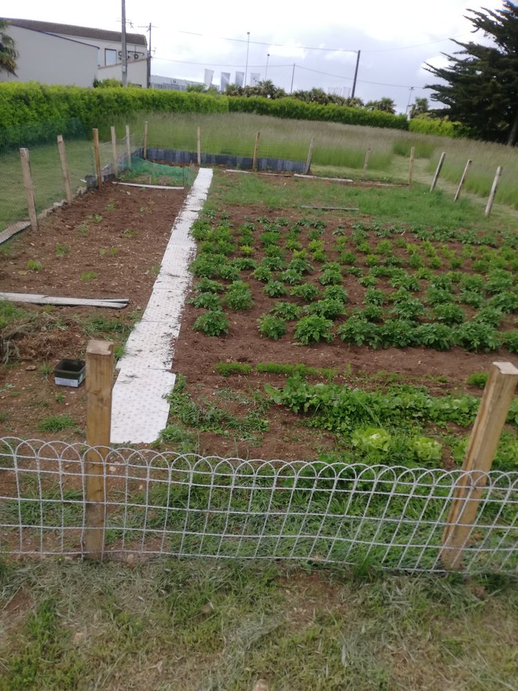 pelouse haie et autres 0 79000 Niort