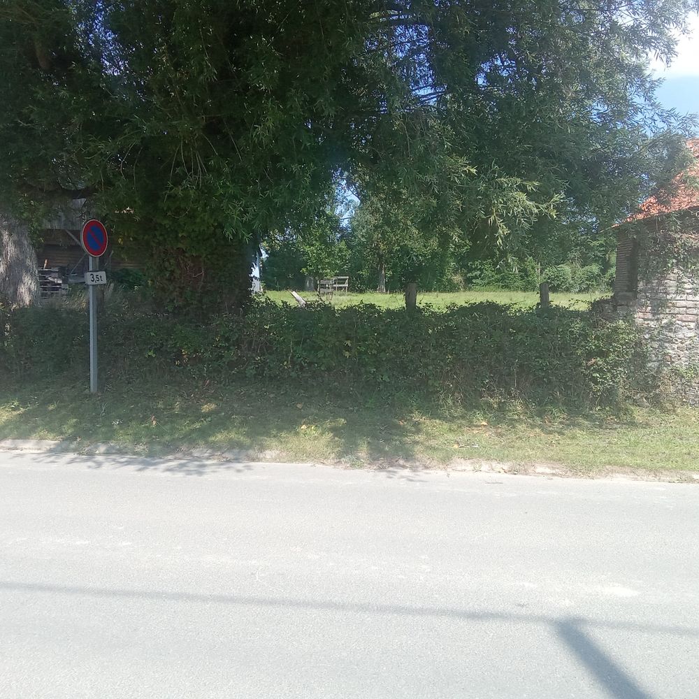 Coupe d'arbre
D&eacute;broussaillage 
Taille de haie 0 62170 Aix-en-issart