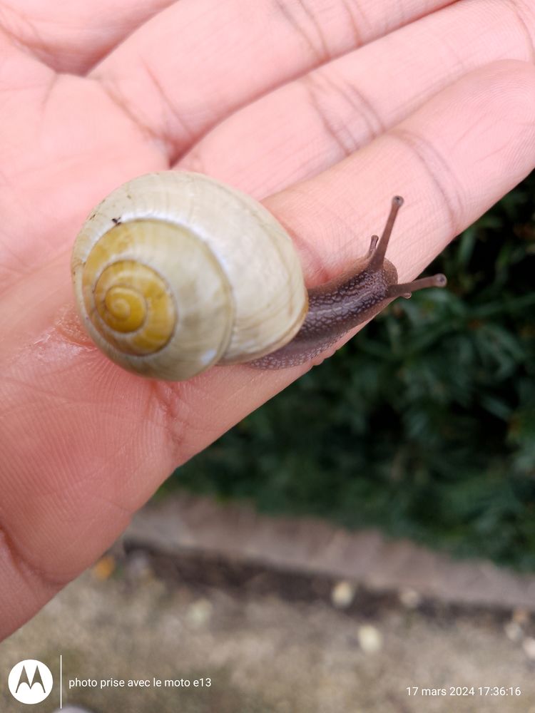 Garde d'enfants &agrave; domicile 0 77130 Montereau-fault-yonne