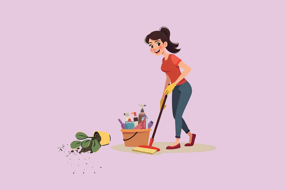 Femme de m&eacute;nage 0 26000 Valence