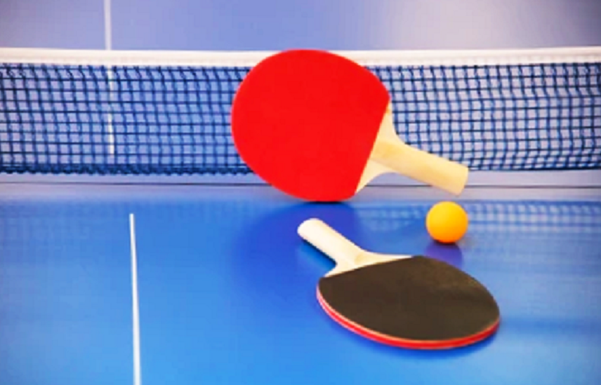 Cours particuliers de tennis de table 0 92800 Puteaux