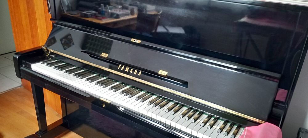 Cours particuliers de piano par professeur dipl&ocirc;m&eacute; 0 74150 Rumilly