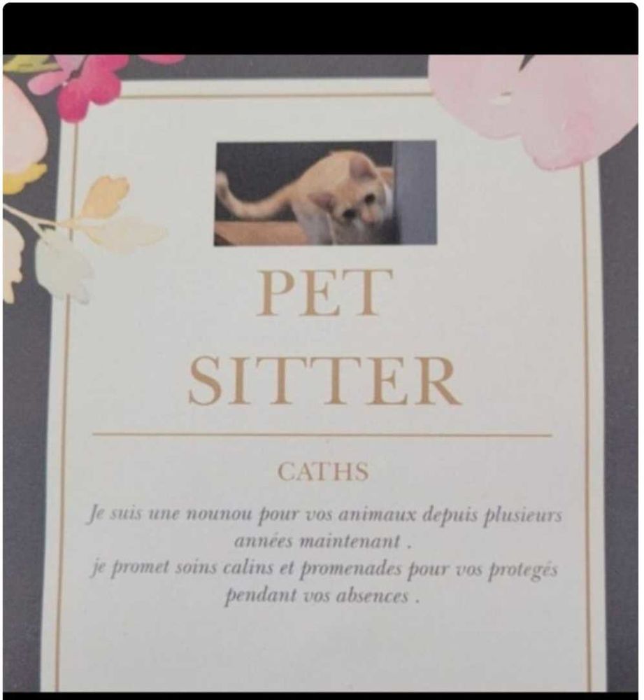 pet Sitter depuis plus de 7 ans 
Ce m&eacute;tier est une passion 
0 46090 Mercu�s