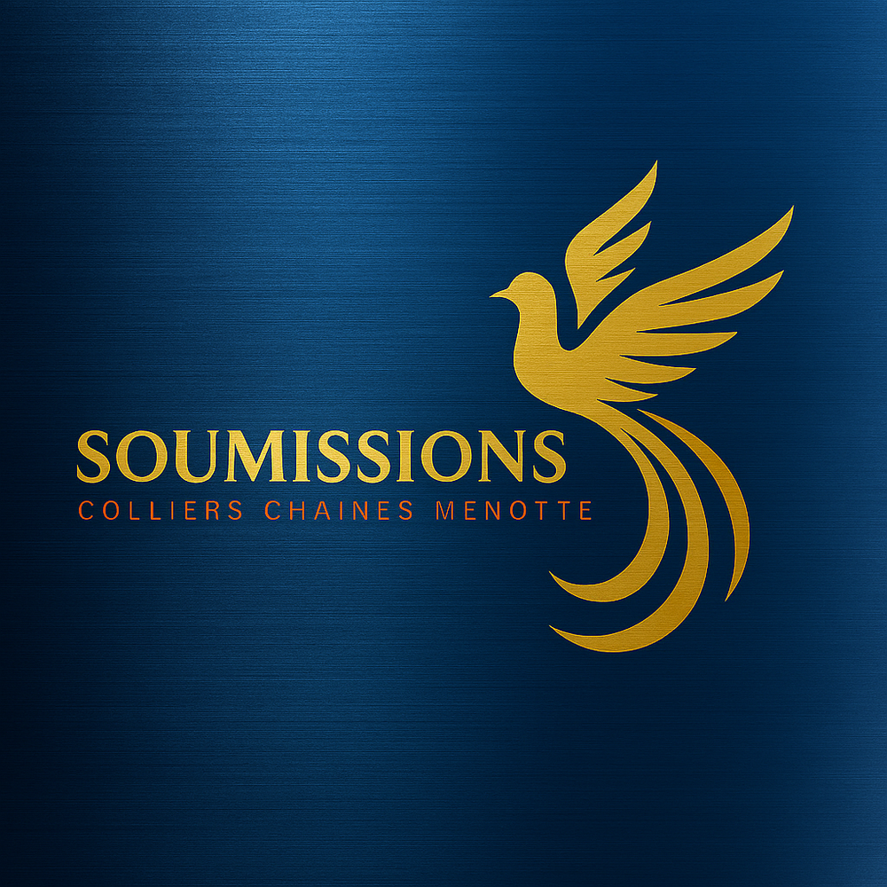  r&eacute;seaux sociaux 0 09100 Pamiers