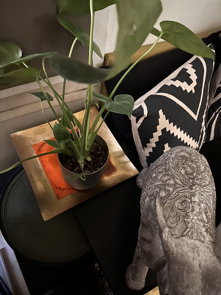 Proposition ponctuelle 0 75012 Paris