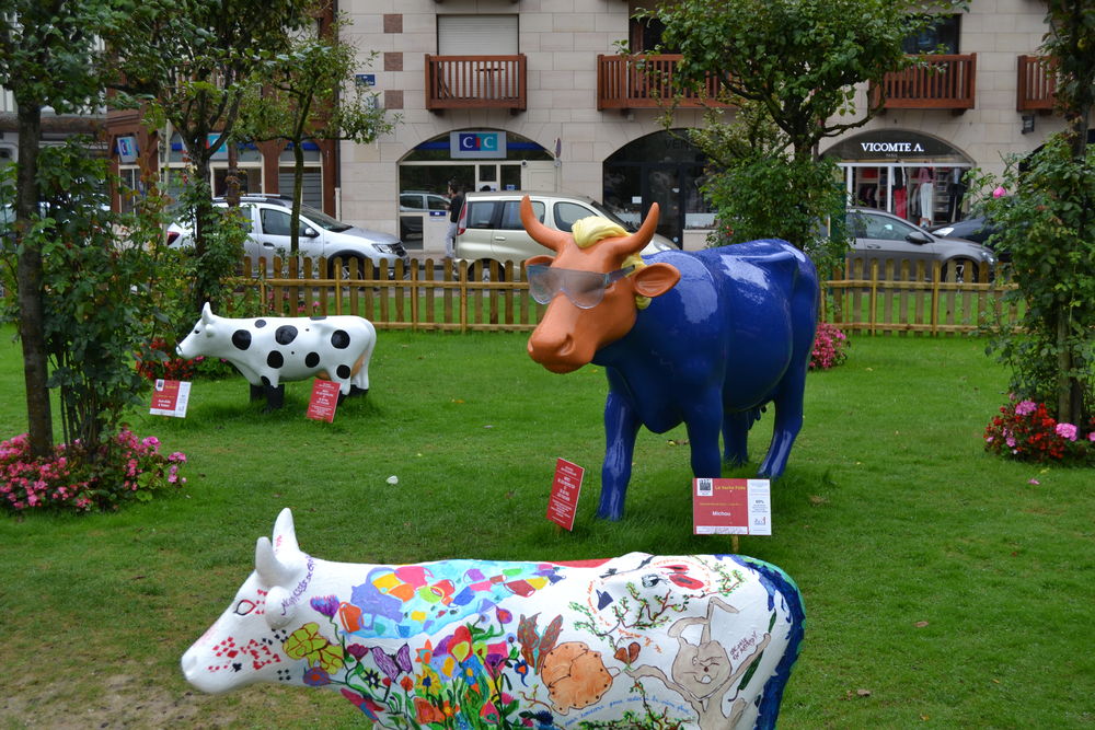 PHOTOGRAPHE AMATEUR 0 16000 Angoul�me