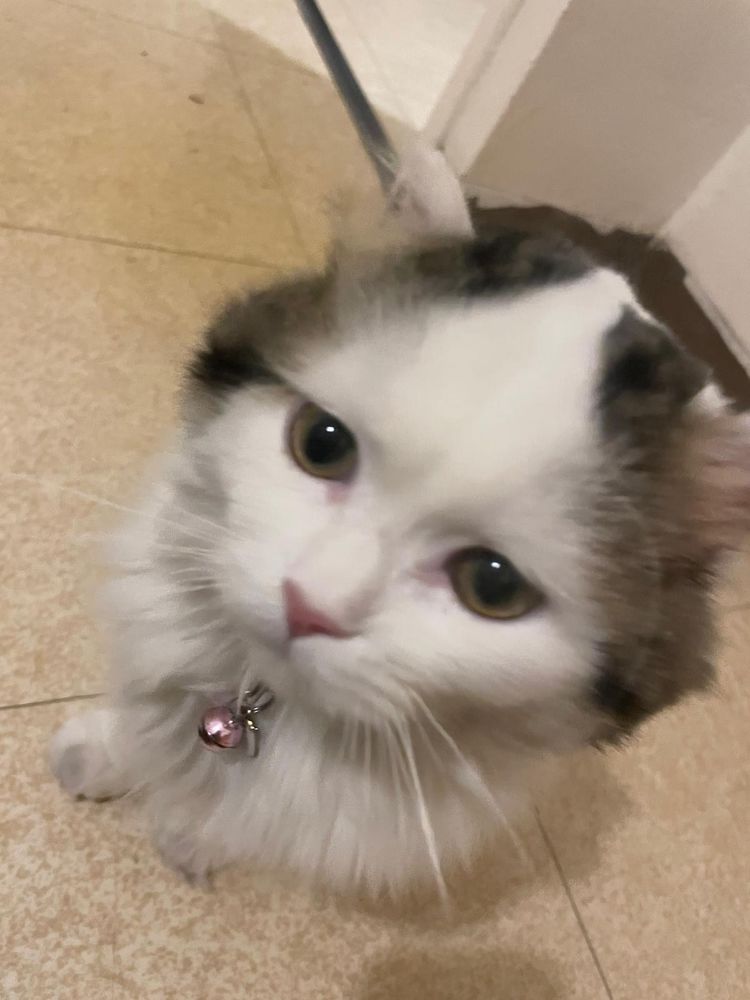 Je suis disponible.  Jour et nuit. 0 06300 Nice