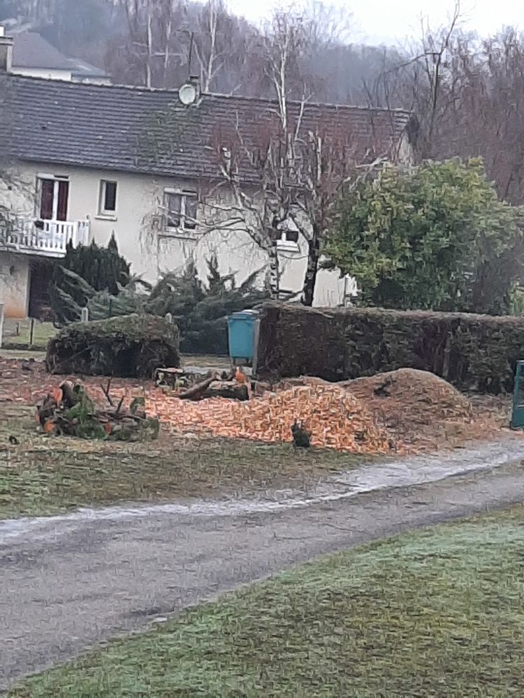 Don de copeaux de bois de sapin 0 87400 Roy�res