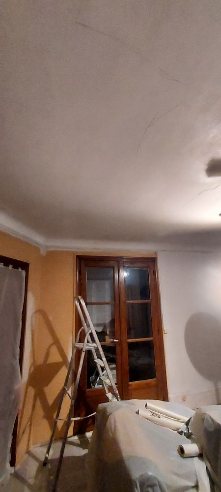 Travaux de peinture disponible dans la semaine ou week-end 0 75020 Paris