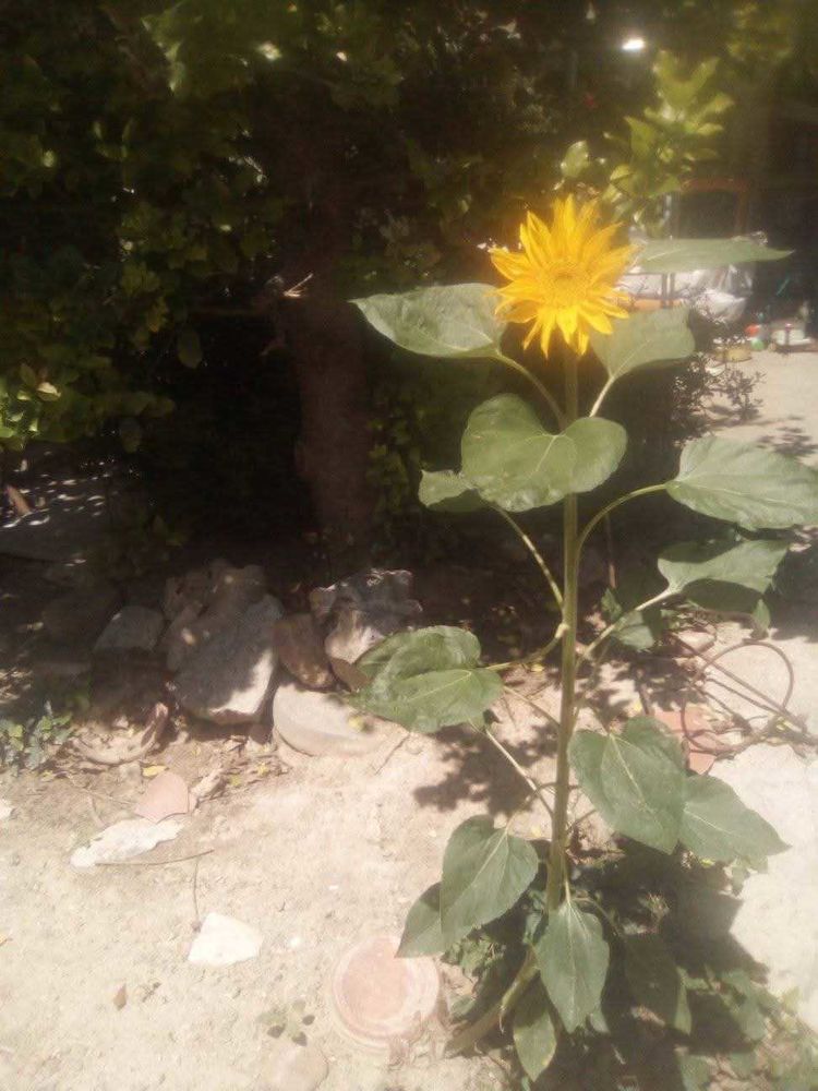 Bonjour. Coaching particuliers et entreprises. 60 30130 Pont-saint-esprit