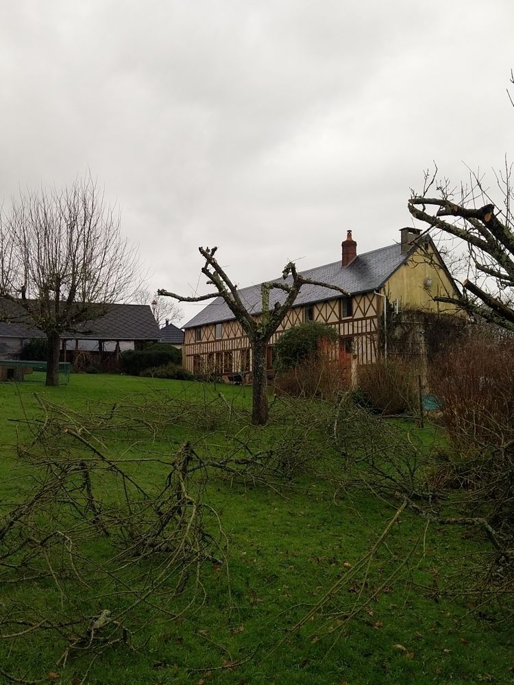 Bonjours je propose l'entretien de votre jardin 0 76450 Cany-barville