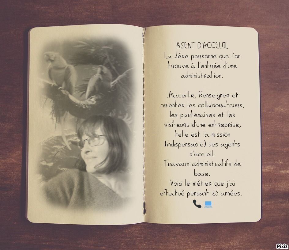 Aide aux m&eacute;nages 0 18250 Neuvy-deux-clochers