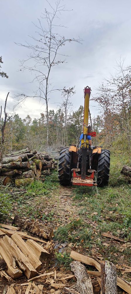 Service d'abattage, d&eacute;bitage et bois de chauffage 0 82100 Castelsarrasin