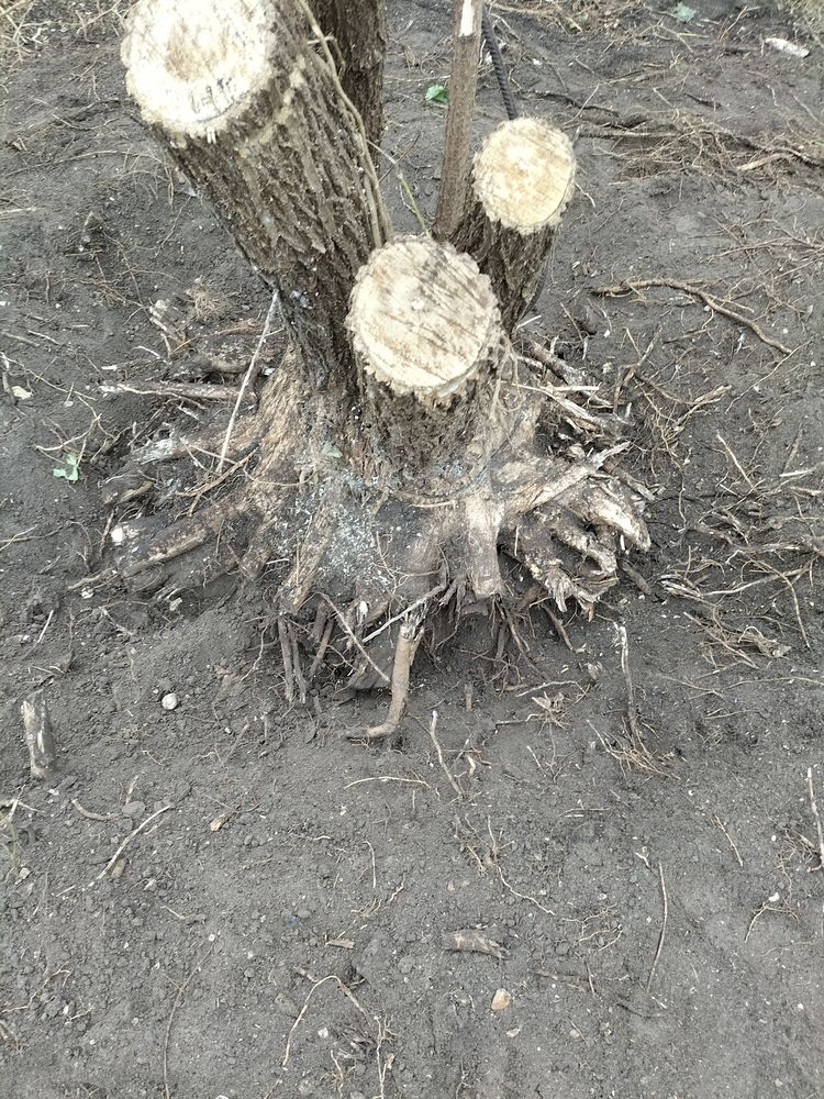 Paysagistes espace vert 0 77130 Montereau-fault-yonne