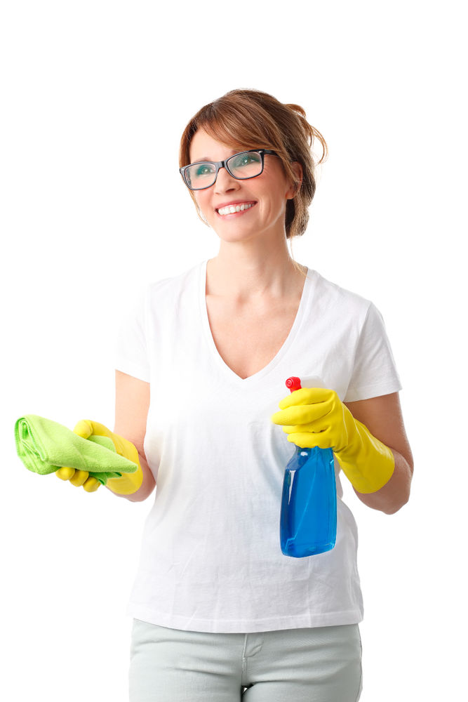 M&eacute;nage, Repassage, Vitres 0 90000 Belfort