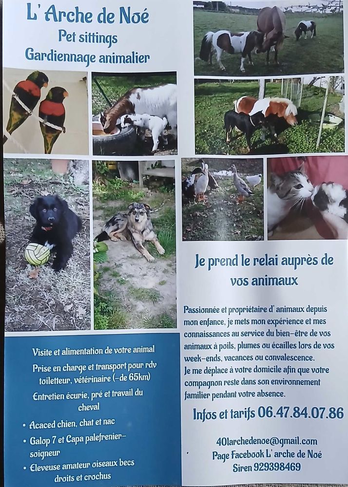 gardiennage animalier Petsitting 0 40700 Hagetmau